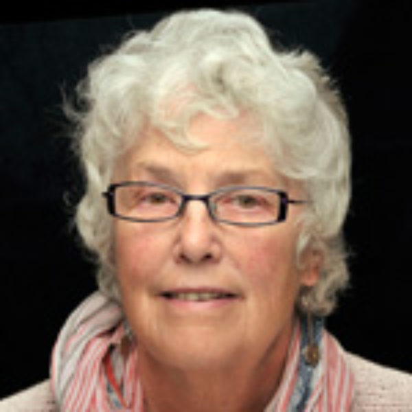 Elswick Labour Team - Councillor Ann Schofield